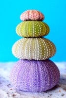 Water marks – Symbols from nature to remind us